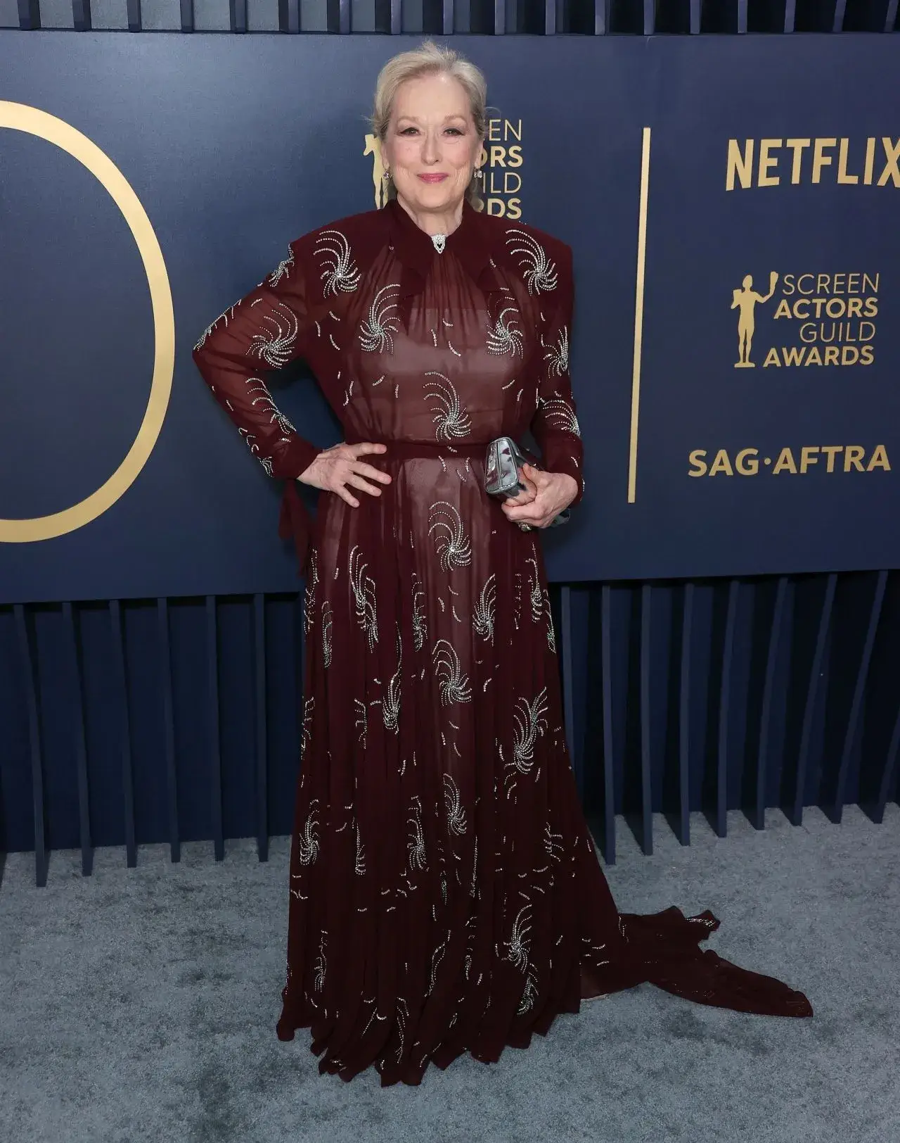 MERYL STREEP STILLS AT SCREEN ACTORS GUILD AWARDS 2024 IN LOS ANGELES 6